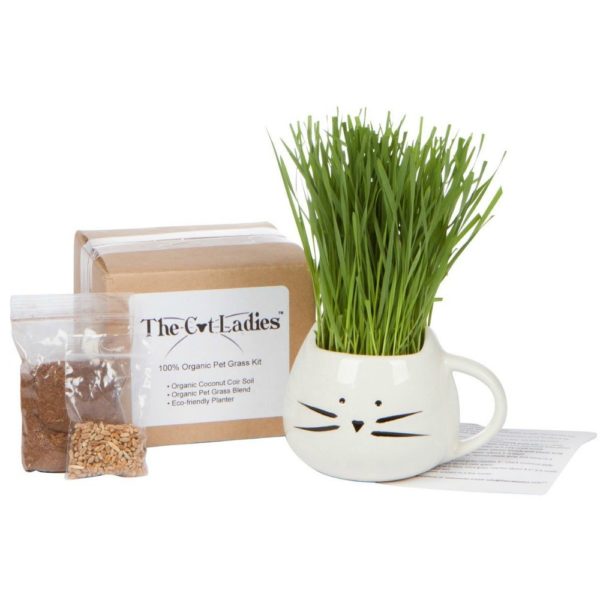 The Cat Ladies Organic Cat Grass Kit with Natural Hairball Control