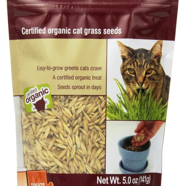 Petlinks Nibble-Licious Cat Grass