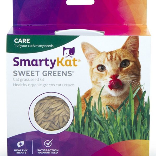 SmartyKat Sweet Greens Cat Grass Kit